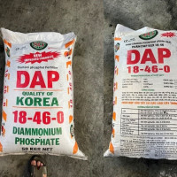 Bắt giữ gần 80 tấn phân bón giả do Công ty Cổ phần quốc tế Nông nghiệp Sài Gòn Xanh sản xuất