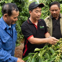 Nestlé nỗ lực giảm phát thải trong toàn chuỗi giá trị