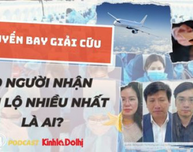 Nộp lại tiền tỷ vụ “chuyến bay giải cứu” có phải là “kim bài miễn tử”?