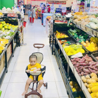 “Xanh hóa” nông sản là tấm vé vào cửa thị trường