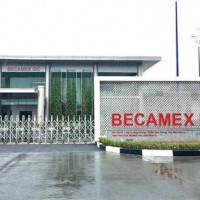 Becamex TDC: Lỗ trăm tỷ, xin khất nợ trái phiếu, cổ phiếu giảm giá sâu