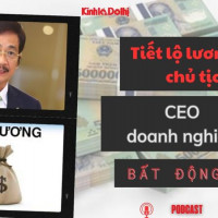 Tiết lộ lương của chủ tịch, CEO doanh nghiệp bất động sản
