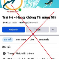 Đăng ký trải nghiệm làm phi công cho con, người phụ nữ bị lừa 2,6 tỷ đồng