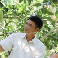 NPK Cà Mau công nghệ polyphosphate chắp cánh nông sản Việt