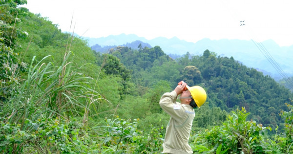 Kiểm điểm nhiều chủ tịch, tổng giám đốc đơn vị trực thuộc EVN