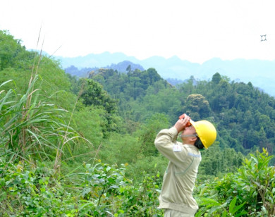 Kiểm điểm nhiều chủ tịch, tổng giám đốc đơn vị trực thuộc EVN
