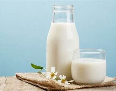 Uống sữa tươi như thế nào cho hiệu quả và an toàn sức khỏe?