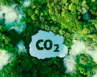 Hình thành thị trường tín chỉ carbon: Giải bài toán nguồn vốn cho kinh tế xanh ở Việt Nam