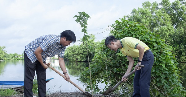 Phân bón Cà Mau ra quân trồng cây phủ xanh trong cộng đồng