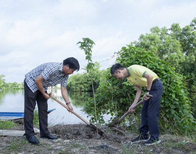 Phân bón Cà Mau ra quân trồng cây phủ xanh trong cộng đồng