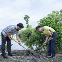 Phân bón Cà Mau ra quân trồng cây phủ xanh trong cộng đồng