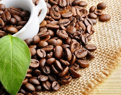 Giá nông sản ngày 19/9/2023: Giá cà phê trong nước khởi sắc