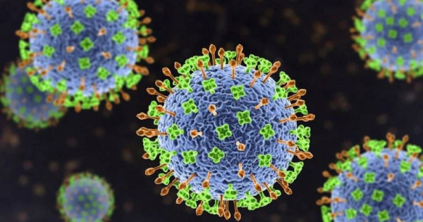 TP Hồ Chí Minh giám sát người về từ vùng có dịch virus Nipah