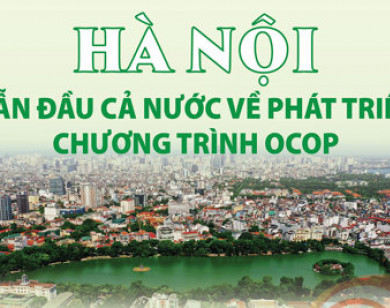 Hà Nội dẫn đầu cả nước về phát triển Chương trình OCOP