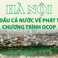 Hà Nội dẫn đầu cả nước về phát triển Chương trình OCOP