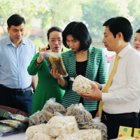 Hà Nội: Vinh danh nông dân Thủ đô xuất sắc năm 2023