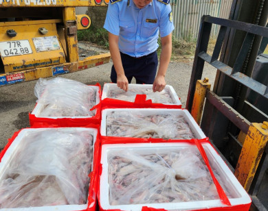 Thanh Hóa: Phát hiện trên 4,5 tấn cá khoai có chưa chất foocmon