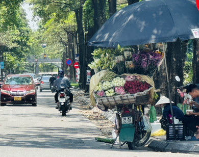 Dự báo thời tiết ngày 24/10/2023: Hà Nội đêm mưa, ngày nắng gián đoạn