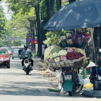 Dự báo thời tiết ngày 24/10/2023: Hà Nội đêm mưa, ngày nắng gián đoạn