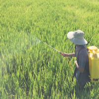 Thứ trưởng Bộ NN&PTNT Hoàng Trung: Cần có hành lang pháp lý chặt chẽ cho thuốc bảo vệ thực vật sinh học