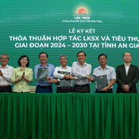 Lộc Trời xây dựng kế hoạch sản xuất 5.000.000 tấn lúa từ năm 2024