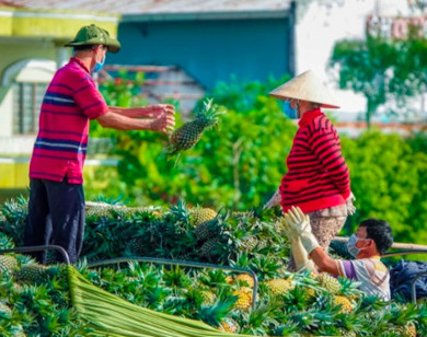 Diễn đàn Mekong Connect 2023: TP Hồ Chí Minh và ĐBSCL sẵn sàng cho kinh tế xanh