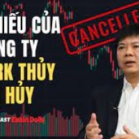 Cổ phiếu Công ty Apax Holdings của Shark Thủy bị hủy