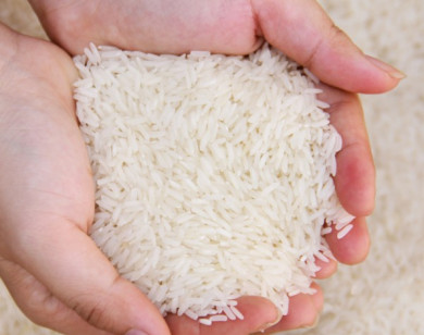 Mách bạn cách chọn mua gạo ngon, mới chỉ với một tờ giấy