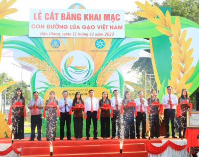 Festival Quốc tế ngành hàng lúa gạo Việt Nam-Hậu Giang 2023: Khai mạc triển lãm "Con đường lúa gạo Việt Nam"