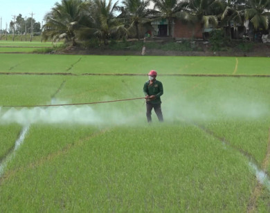 Sản xuất nông nghiệp bền vững không thể thiếu thuốc bảo vệ thực vật