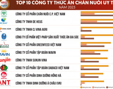 Top 10 công ty thức ăn chăn nuôi uy tín năm 2023 tại Việt Nam