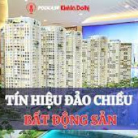 Tín hiệu đảo chiều bất động sản