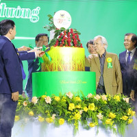 Phân bón Bình Điền 50 năm nỗ lực vì nông nghiệp, nông dân