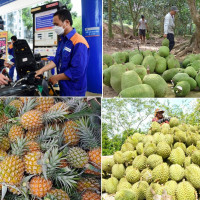 Tiêu dùng trong tuần (18-24/12/2023): Giá mít giảm sâu, sầu riêng tăng cao 