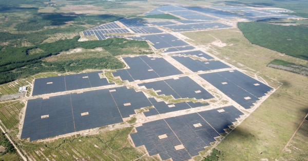 Bình Phước: Công ty Lộc Ninh 3 "hô biến" gần 150ha đất rừng thành nhà máy điện mặt trời