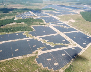 Bình Phước: Công ty Lộc Ninh 3 "hô biến" gần 150ha đất rừng thành nhà máy điện mặt trời
