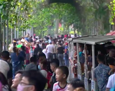 TP Hồ Chí Minh: Hàng nghìn người đổ về Thảo cầm viên vui chơi đón Tết dương lịch 2024