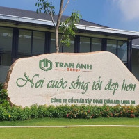 Nợ thuế, Tập đoàn Trần Anh Long An bị cưỡng chế