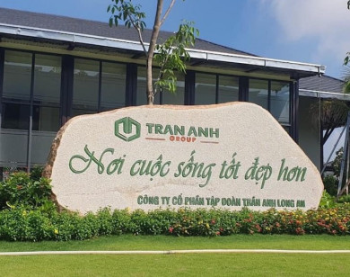 Trần Anh Group đã nộp đủ số tiền nợ thuế, không còn bị cưỡng chế 