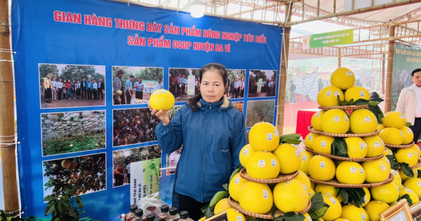 Hà Nội linh hoạt giải pháp tiêu thụ bưởi