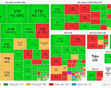 Chứng khoán 11/1: Toàn thị trường có 379 mã tăng, 300 mã giảm