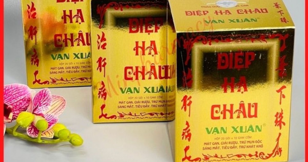 Diệp hạ châu Vạn Xuân - sản phẩm giải rượu nhanh cho ngày tết vui khỏe