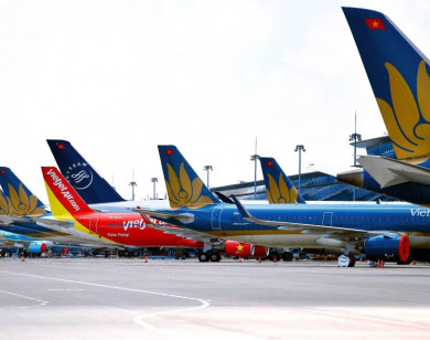 Cục Hàng không yêu cầu các hãng bay báo cáo giá vé máy bay dịp Tết