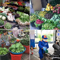 Tiêu dùng trong tuần (19-25/2/2024): Giá trầu cau tăng cao, rau xanh và trái cây hạ nhiệt