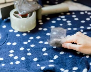 Mẹo làm sạch lông chó mèo trên quần áo không cần giặt