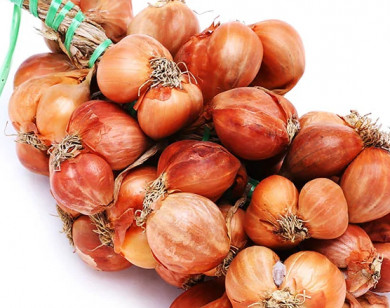 Cách bảo quản hành khô để lâu không mọc mầm
