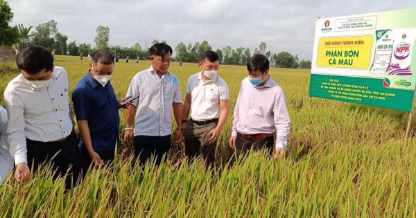 Nhà nông tin chọn: Phân bón Cà Mau là hàng Việt Nam chất lượng cao