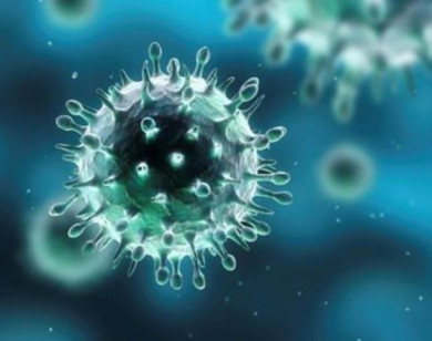 Cần làm gì để chủ động phòng chống dịch cúm A(H5N1)?