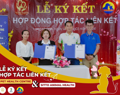 Sitto Việt Nam chính thức tham gia thị trường thức ăn & chăm sóc thú cưng