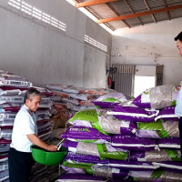 Tiền Giang xử phạt gần 700 triệu đồng vi phạm trong lĩnh vực phân bón